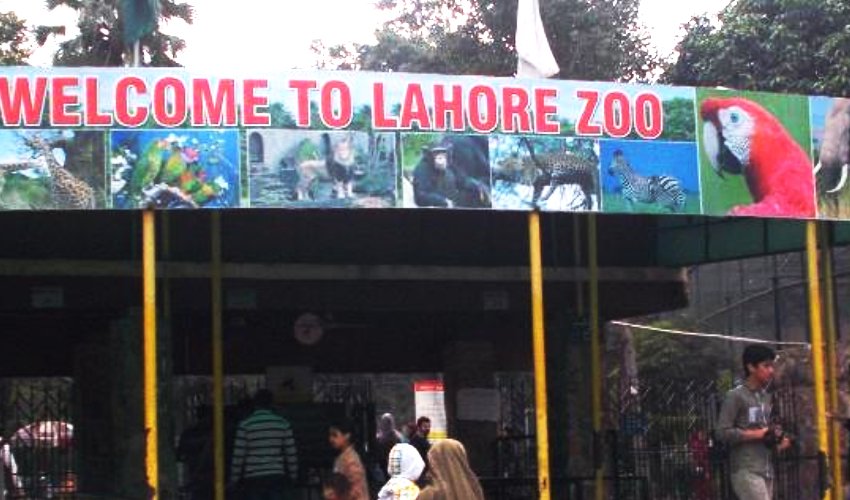 lahore-zoo