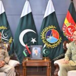 426796_7917334_updates