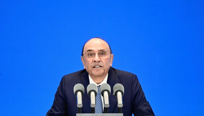 Zardari Says Neighbouring Countries Complicit in Terrorism Against Pakistan