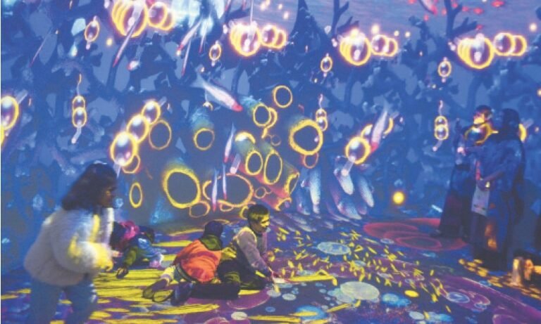 Pakistan Urged to Establish Data Governance Before AI Framework