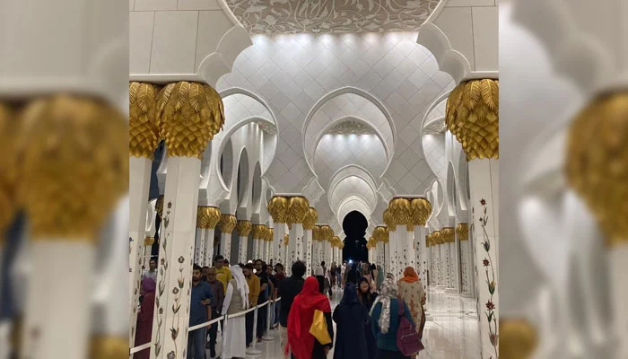 648383_5921257_updates