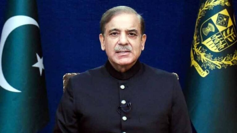 PM Shehbaz Sharif Calls for Global Commitment to Sustainable Development for Lasting Peace