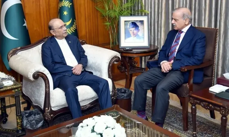 PM Shehbaz Meets President Zardari to Review National Security, Regional Challenges