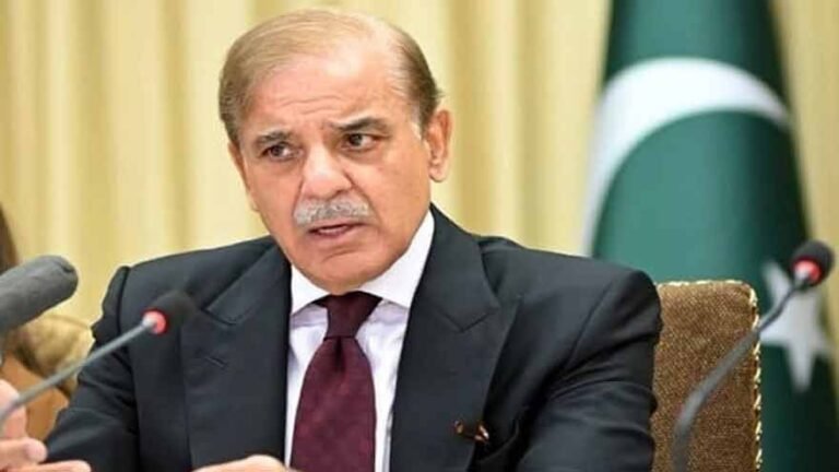 Shehbaz Sharif Reviews Food Exports, Ports and Aviation Strategy for Gulf Supply