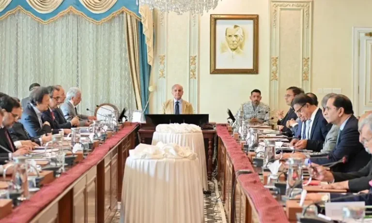 PM Shehbaz Reviews Strategy to Tackle Economic Impact of Global Crisis