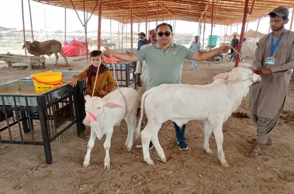 WhatsApp Image 2026-04-15 at 7.48.10 PM