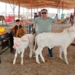 WhatsApp Image 2026-04-15 at 7.48.10 PM