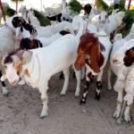 WhatsApp Image 2026-04-27 at 6.29.57 PM