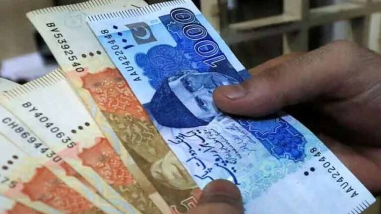 Finance Ministry Documents Reveal High Salaries of Government and Semi-Government Executives