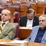 Prime Minister Shehbaz Sharif announcing expected reduction in petroleum prices during National Assembly session.