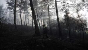 Greece Wildfire Two dead after blaze destroys house near Thessaloniki