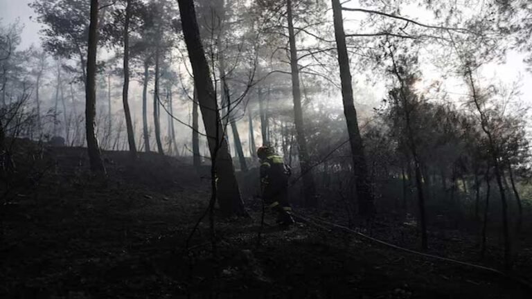 Firefighters work near a house destroyed by wildfire in northern Greece
