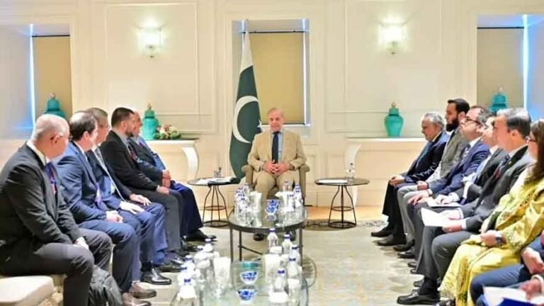 Prime Minister Shehbaz Sharif during meetings with Turkish business executives in Istanbul