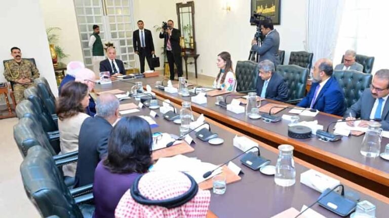 Prime Minister Shehbaz Sharif holds a meeting with the Polio Oversight Board delegation at the Prime Minister's House in Islamabad.
