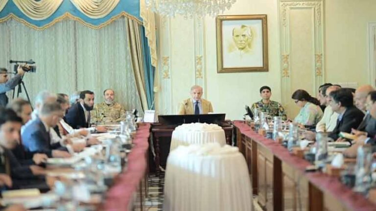 Prime Minister Shehbaz Sharif presides over a meeting on improving digital consular services for overseas Pakistanis.