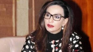 PIMS Hospital Fire: PPP demands health minister’s resignation over child deaths