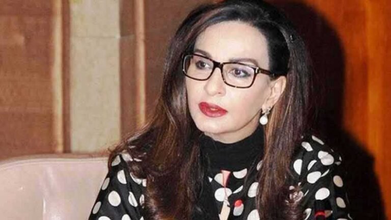 PIMS Hospital Fire: PPP demands health minister’s resignation over child deaths