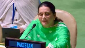 Pakistan UN Right of Reply: Islamabad accuses India of exporting terrorism and violence