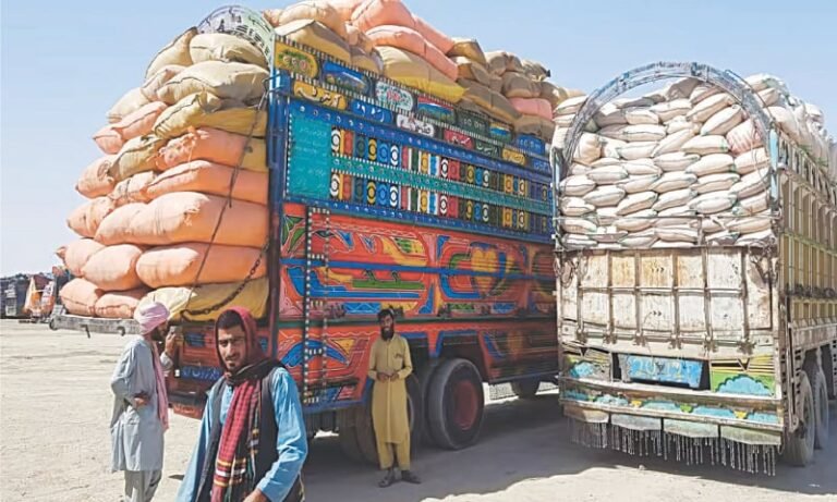 Pakistan food exports increase in the first quarter of FY2026-27, led by higher basmati and non-basmati rice shipments.